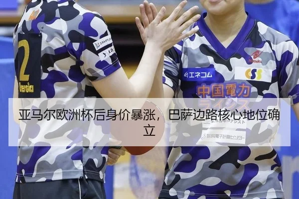 ya-ma-er-ou-zhou-bei-hou-shen-jia-bao-zhang-ba-sa-bian-lu-he-xin-di-wei-que-li-2-734.jpg