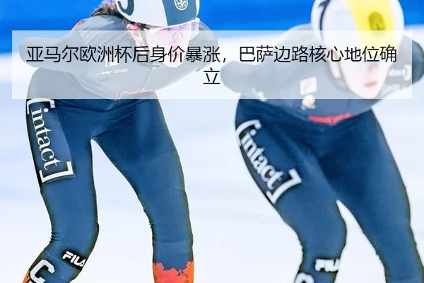 ya-ma-er-ou-zhou-bei-hou-shen-jia-bao-zhang-ba-sa-bian-lu-he-xin-di-wei-que-li-3-696.jpg