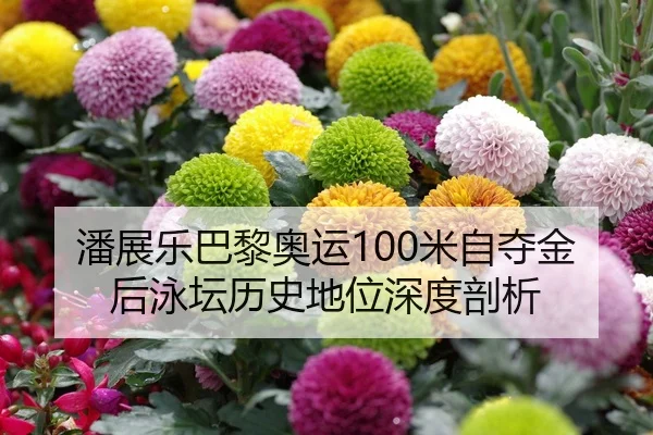 潘展乐巴黎奥运100米自夺金后泳坛历史地位深度剖析