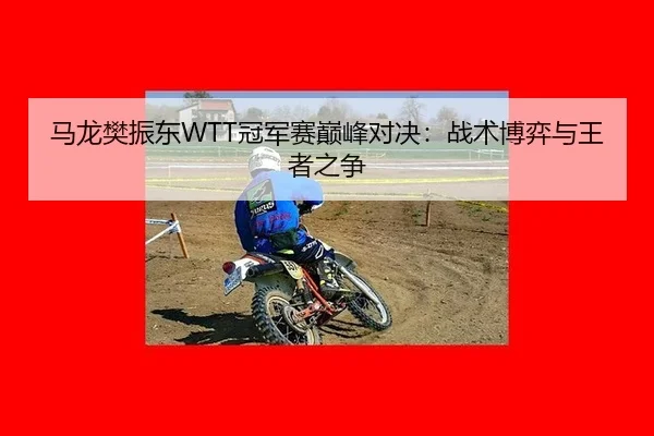 马龙樊振东WTT冠军赛巅峰对决：战术博弈与王者之争