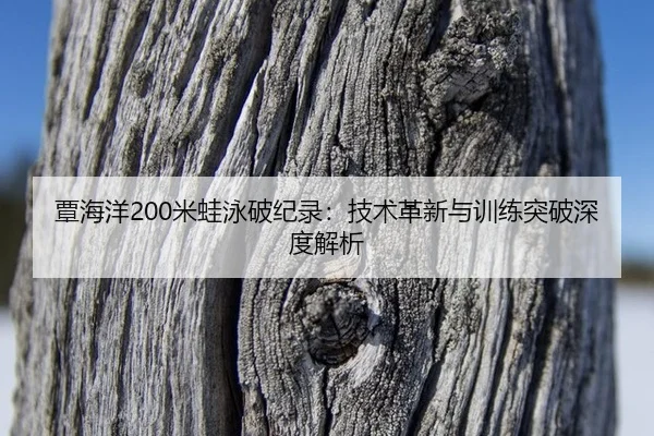 tan-hai-yang-mi-wa-yong-po-ji-lu-ji-shu-ge-xin-yu-xun-lian-tu-po-shen-du-jie-xi-2-219.jpg